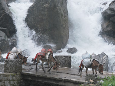 Jomsom Kali Gandaki Trekking